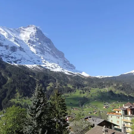 The Petit Bergidyll - Grindelhomes Apartment *