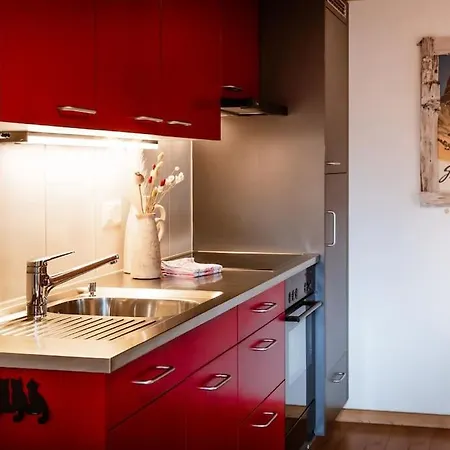 Apartment The Petit Bergidyll - Grindelhomes Grindelwald