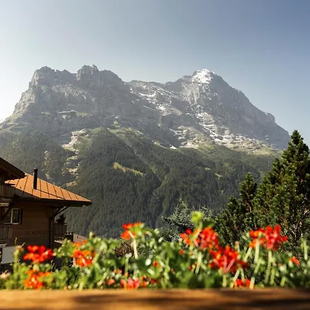 The Petit Bergidyll - Grindelhomes * Grindelwald